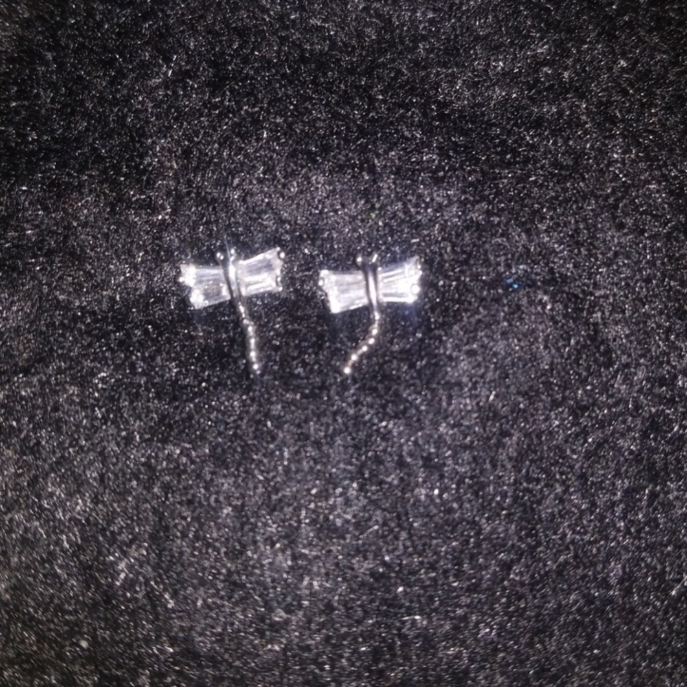 Dragonfly Earrings